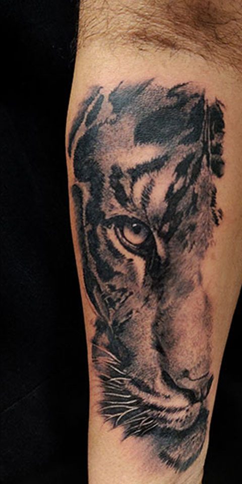 Best Tattoo Parlours  Tattoo parlours centre in Ernakulam
